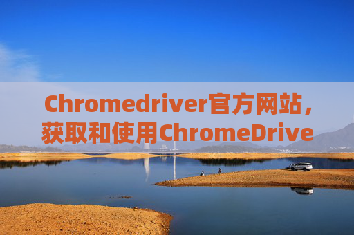 Chromedriver官方网站，获取和使用ChromeDriver的指南